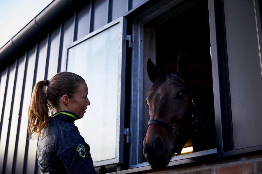 Elegant beklædning af tag og facade, Nibevej 225, Frejlev, Aalborg,